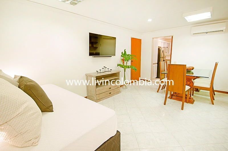 San Fernando Suite 101 - Apartamento de 2 habitaciones - 101ALM